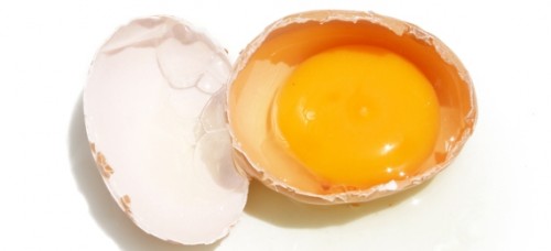 egg